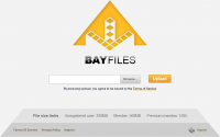 Создатели Pirate Bay открыли свой новый файлообменник – Bayfiles